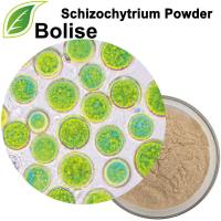 Schizochytrium en po