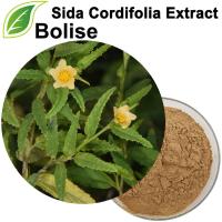Extracto de Sida Cordifolia