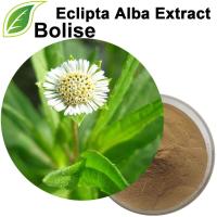 Eclipta Alba -uute