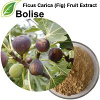 Ficus Carica (Kuva) -hedelmäuute