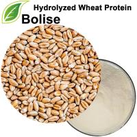 Hydrolysoitu vehnäproteiini