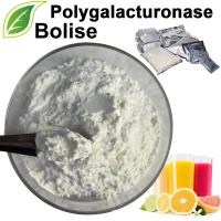 Poligalakturonasa
