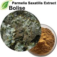 Parmelia Saxatilis Extract