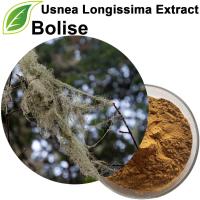 Usnea Longissima Extract