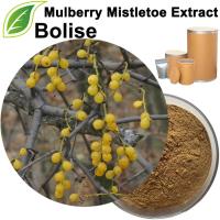 Mulberry Mistletoe Extract