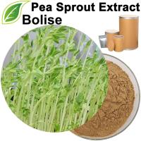 Pea Sprout Extract