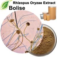 Ekstrakt Rhizopus Oryzae