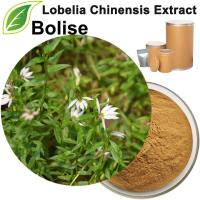Lobelia Chinensis Extract