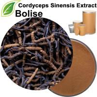 Cordyceps Sinensis Extract