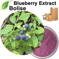 Blueberry Extract