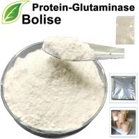 Protein-glutaminaza