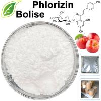 Phlorizin