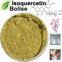 Isoquercetina