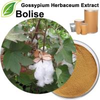 Gossypium Herbaceum Extract