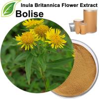 Inula Britannica Flower Extract