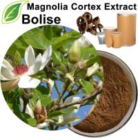 Sliocht Cortex Magnolia