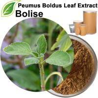 Peumus Boldus Leaf Extract