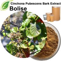 Cinchona Pubescens bark extrakt